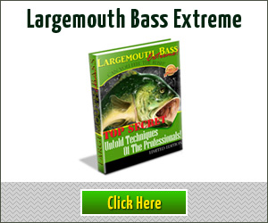 Largemouth Bass Fishing Tactics